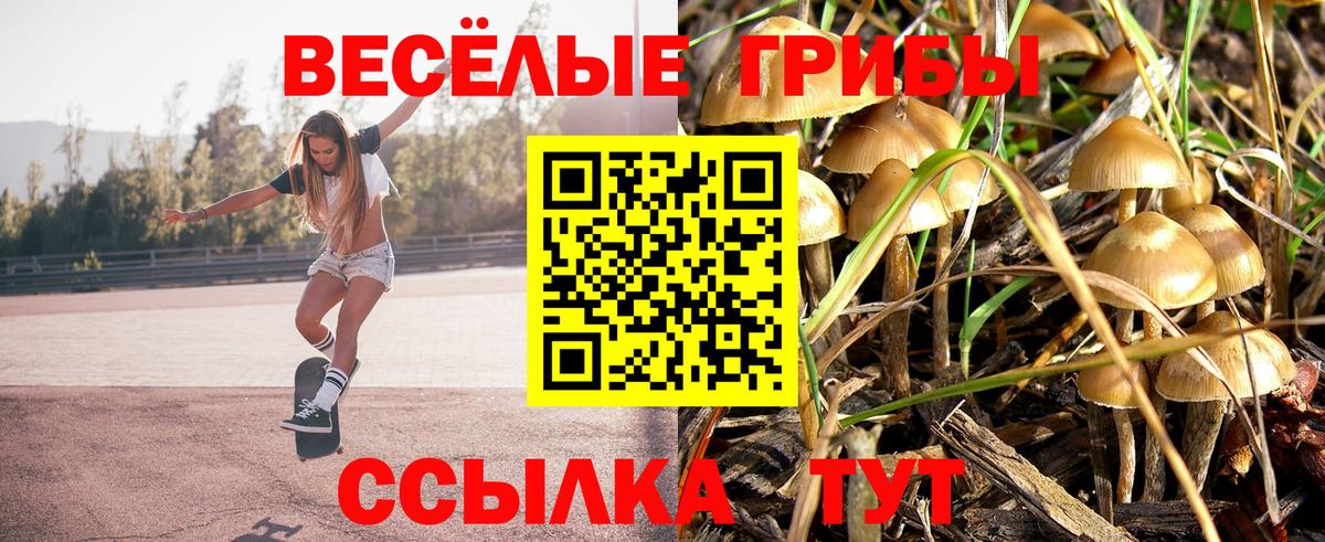 Галлюциногенные грибы MAGIC MUSHROOMS Ефремов